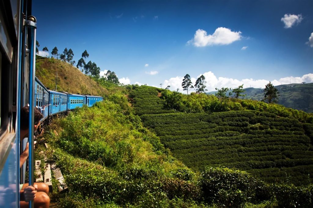 Cultural Odyssey of Sri Lanka — gallery