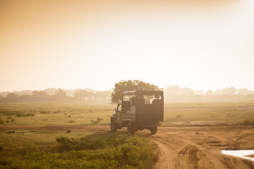 Wildlife Tours — hero